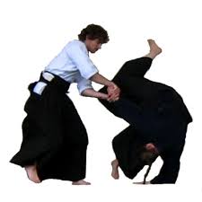 Image result for Mirfield Martial Arts Club