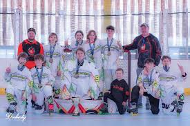 Image result for Vipers Roller Hockey Team