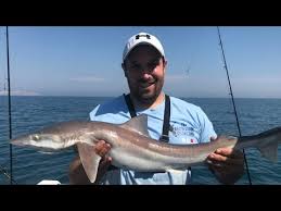 Image result for Newhaven Deep Sea Anglers