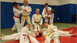 Image result for Merseyside judo association