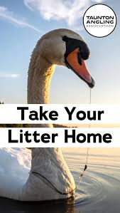 Image result for Taunton Angling Association