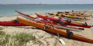 Image result for York University Canoe Club