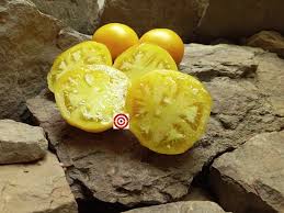 Afbeeldingsresultaat voor blushing yellow tomato