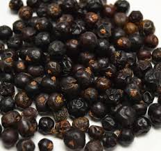 Attēlu rezultāti vaicājumam “Juniperus communis fruit”