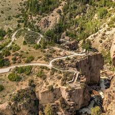 Image result for mountain top seashell