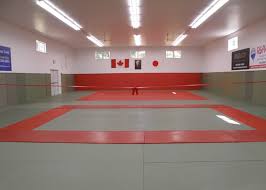 Image result for Redbridge Judo Club
