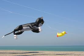Image result for Brighton Kite Fliers