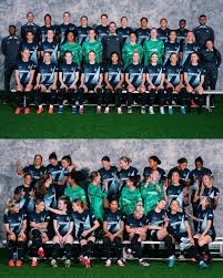 Image result for Gotham Soccer League