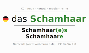 Image result for schamhaar