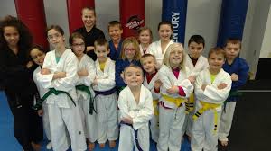 Image result for Kidderminster Tae Kwon Do Tigers