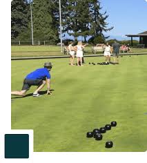Image result for Ilmington Bowls Club