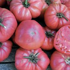 Afbeeldingsresultaat voor rose quartz tomato