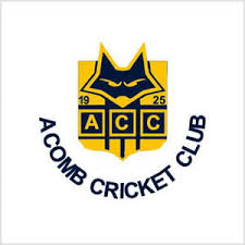 Image result for Ledsham Cricket Club