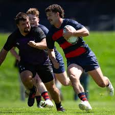 Image result for St Mary's Old Boys Rugby Union Football Club
