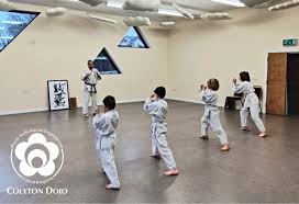 Image result for Aylesbury Vale Seido Karate