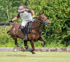 Image result for Cambridge and Newmarket Polo Club