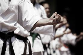 Image result for Roswell Martial Arts KA