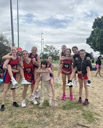 Image result for Derby Diamonds Netball Club