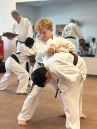 Image result for Su-Ha-Ri-Wado Karate School
