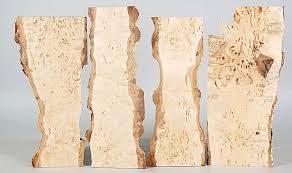 Attēlu rezultāti vaicājumam “Betula pendula var. carelica”