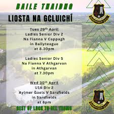 Image result for Sarsfield Gfc