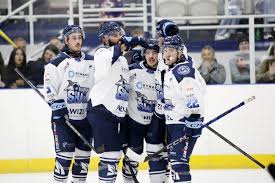 Image result for Leeds Sharks