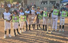 Image result for Empire Bowls Club Ltd