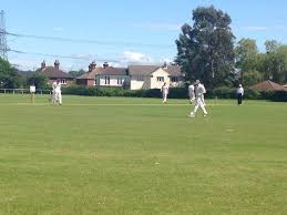 Image result for Fareham and Crofton Cricket Club