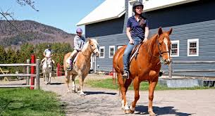 Image result for North Lammermuir Riding Club