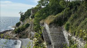 Image result for stevns klint
