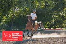 Image result for Scottish Equi Complex
