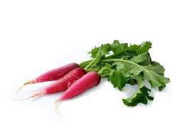 Image result for Rettich