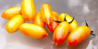 Afbeeldingsresultaat voor blushing yellow tomato