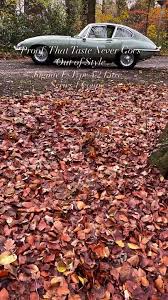 Image result for Willow Green 1967 Jaguar