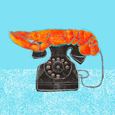 Image result for dali lobster telephone