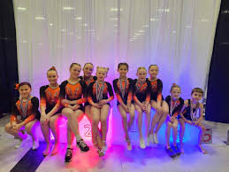 Image result for Vernon Park Gymnastics