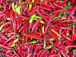 Afbeeldingsresultaat voor turkish cayenne hot pepper