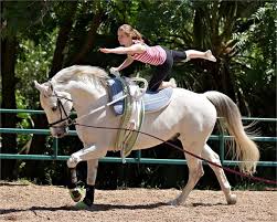 Image result for Lakes Riding Club