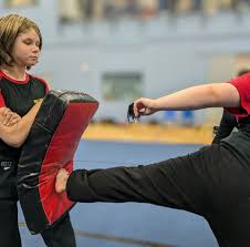 Image result for Hull Kung Fu