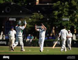 Image result for Kew Cricket Club