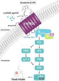 Image result for HTRPC