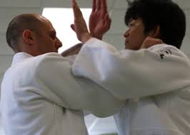 Image result for AAZENTAI JU JITSU