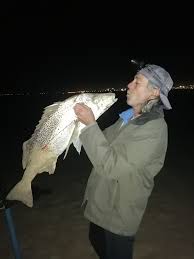 Image result for Pomadasys commersonnii