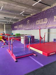 Image result for Jayenell Gymnastics Club