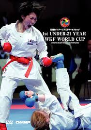 Image result for Karate Wado Kai