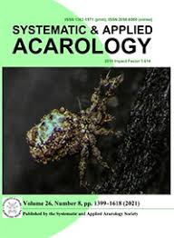 Attēlu rezultāti vaicājumam “Belbodamaeus sp.”