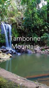 「Mt. Tamborine」的圖片搜尋結果