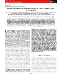 Attēlu rezultāti vaicājumam “Symphytocarpus impexus”