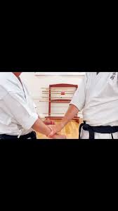 Image result for Yoseikan Budo England