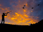 NRA pushes “right to hunt and fish” amendments - Salon.